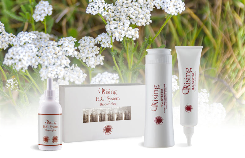 Růst vlasů v Česku